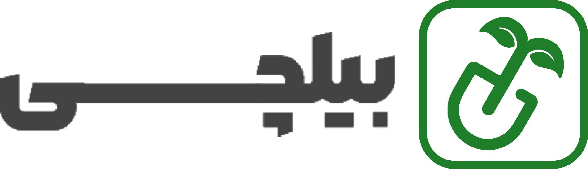 فروشگاه اینترنتی بیلچی