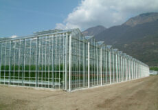 سازه گلخانه- انواع مختلف سازه در ابعاد و شکل ظاهری متفاوت وجود دارد.