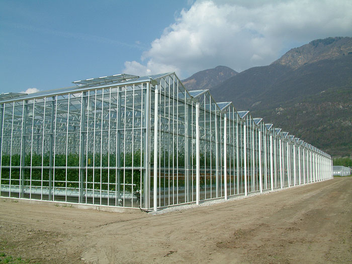 سازه گلخانه- انواع مختلف سازه در ابعاد و شکل ظاهری متفاوت وجود دارد.