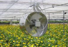 سیستم تهویه گلخانه- در تهویه گلخانه دما، رطوبت، نور و ... تحت کنترل قرار می‌گیرد.