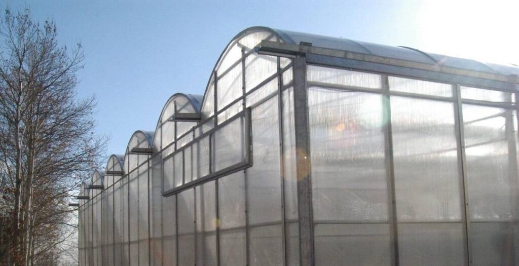 سازه گلخانه - گلخانه سقف قوسی