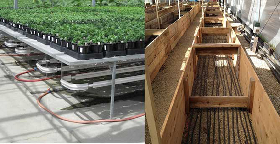 میز گرمایش گلخانه