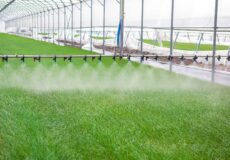 سیستم آبیاری گلخانه به عوامل مختلفی از جمله فصل کشت، نوع محصول و... بستگی دارد.