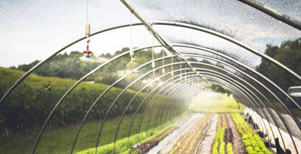 سیستم آبیاری گلخانه - آبیاری سقفی، آبشاری یا بارانی