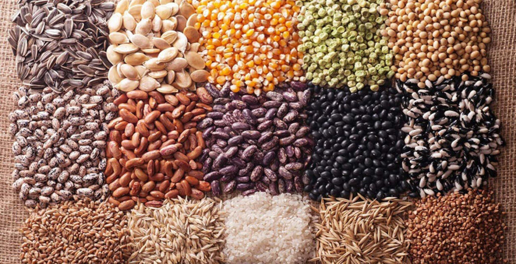 بذر گلخانه - انواع بذر گلخانه‌ای