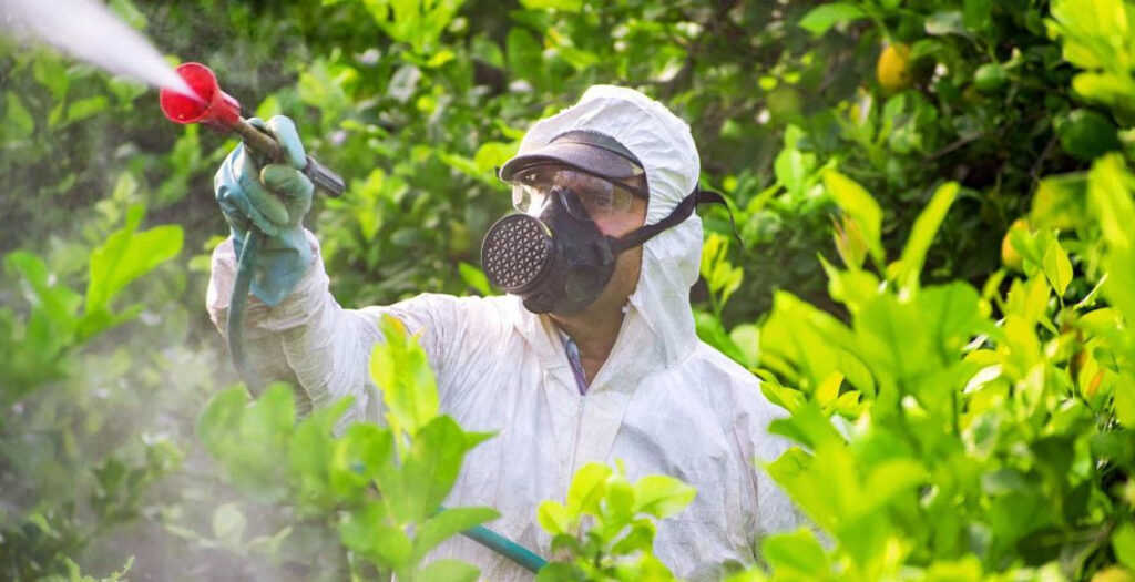 در دسته‌بندی نهاده گلخانه، سم گلخانه نیز قرار می‌گیرد.