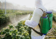 سم گلخانه برای کنترل آفات محصولات گیاهی استفاده می‌شود و شامل علف‌کش‌ها، حشره‌کش‌ها، قارچ‌کش‌ها و ... است.