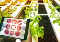 سنسور گلخانه - کنترل دما، رطوبت، نور، اکسین و دی اکسید کربن