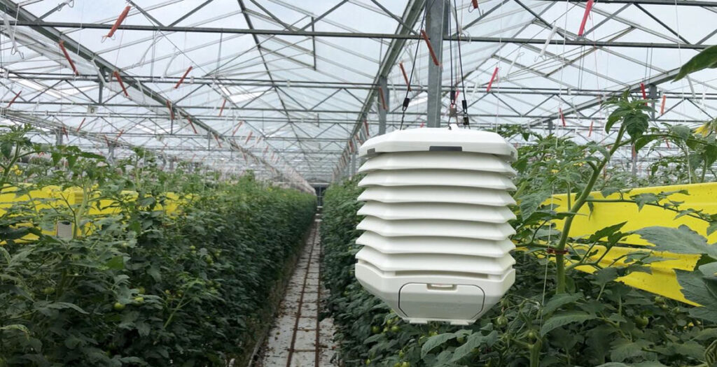 سنسور گلخانه - سنسور دما سیستمی است که دمای داخل گلخانه را اندازه می‌گیرد.