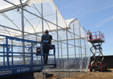 مشاور گلخانه - موفقیت در راه‌اندازی گلخانه فقط با مشورت افراد متخصص و کارشناس امکان‌پذیر است.