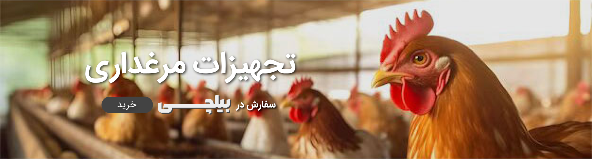 تجهیزات مرغداری