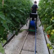 دستگاه سمپاشی گلخانه اتوماتیک شماره 1