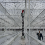 ترولی بالابر دستی گلخانه ای۳