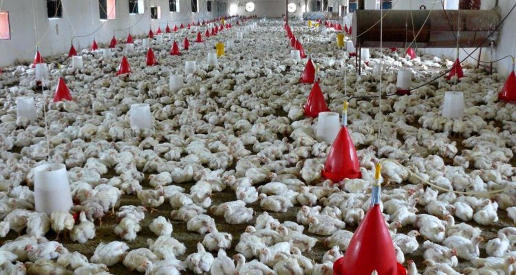 photo_5944931987406043766_y